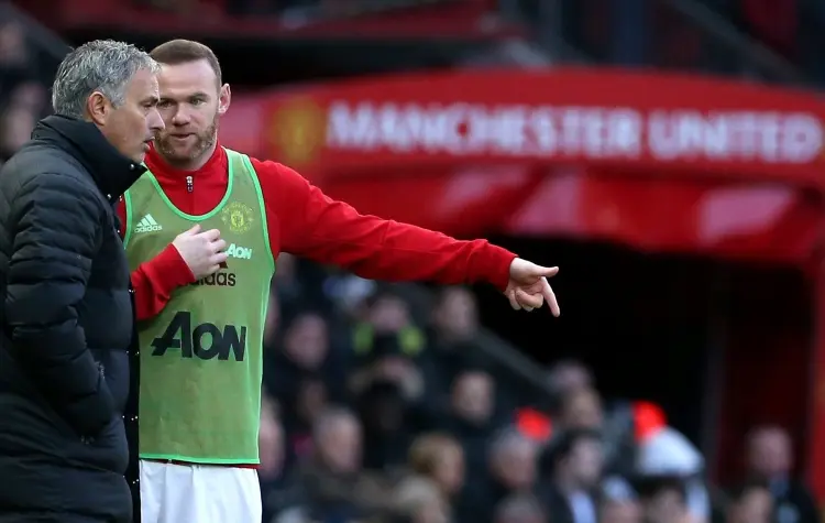 谈谈, entit, 专业