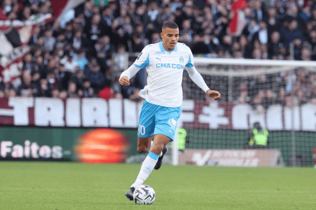 伍德家族改 伍德家族改